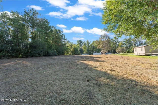 a view of dirt yard with a large tree