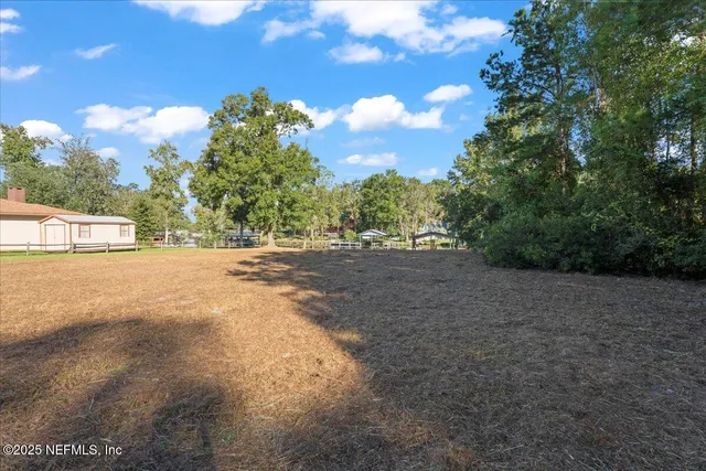 a view of dirt field with trees