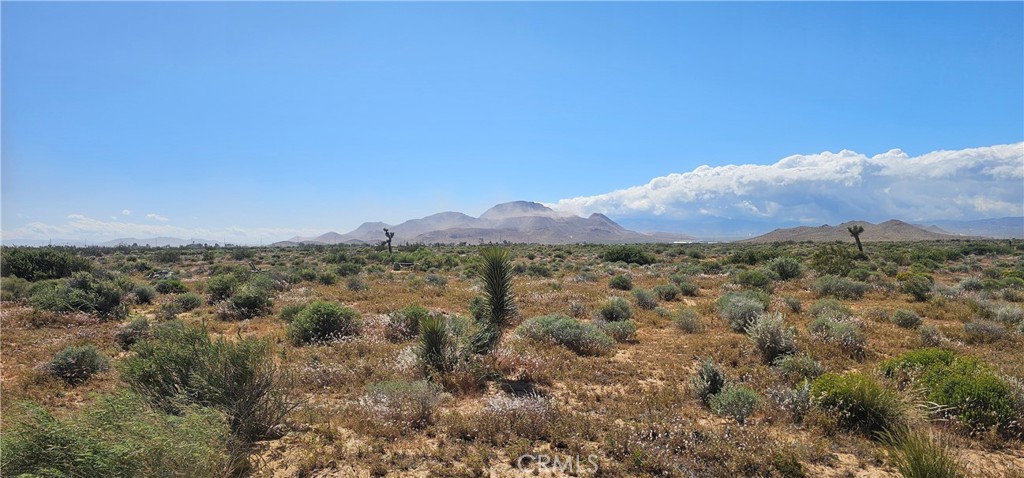 0 10th Street East Mojave, CA 93501 - Photo 3 of 3