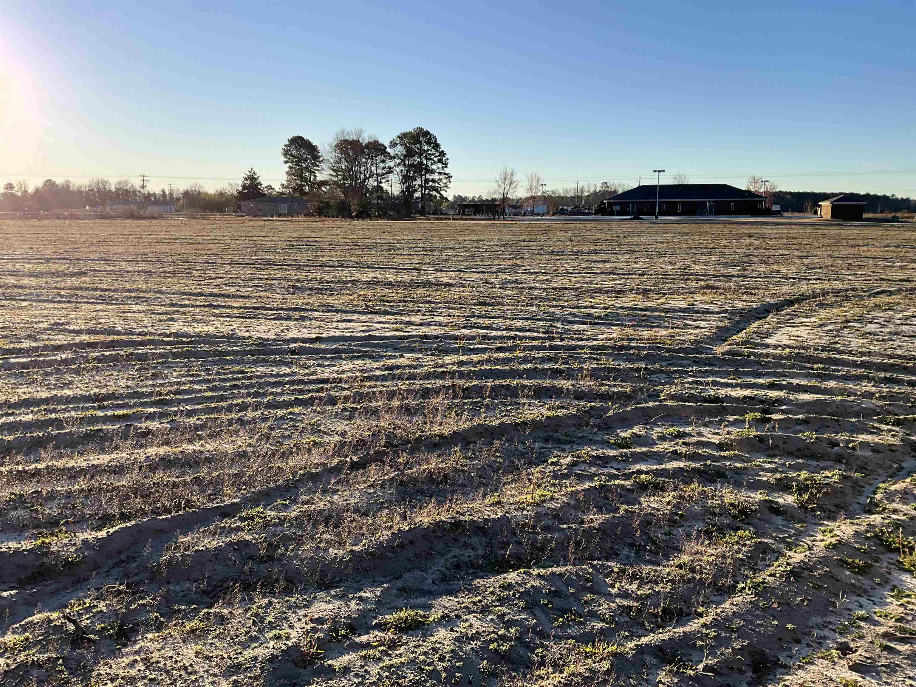 Tbd Senator Gasque Road Mullins, SC 29574 - Photo 8 of 15 View of yard featuring a view of rural / pastoral area