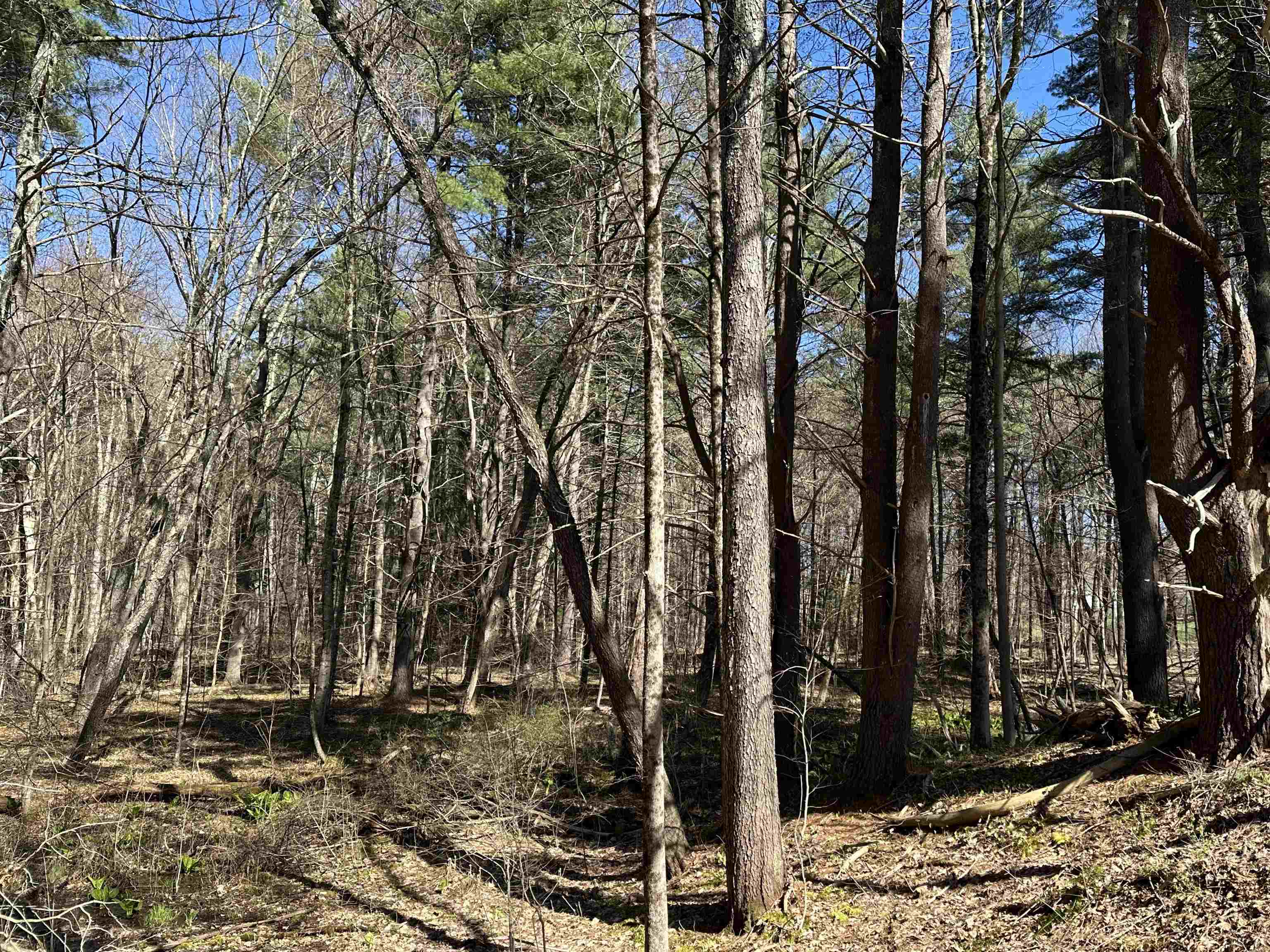 22 Hilliard Road Kensington, NH 03833 - Photo 2 of 10