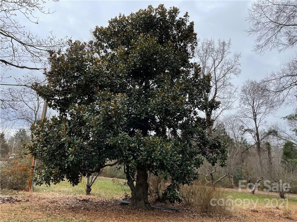 2563 Farmington Road Mocksville, NC 27028 - Photo 19 of 42 Gallery Image 19