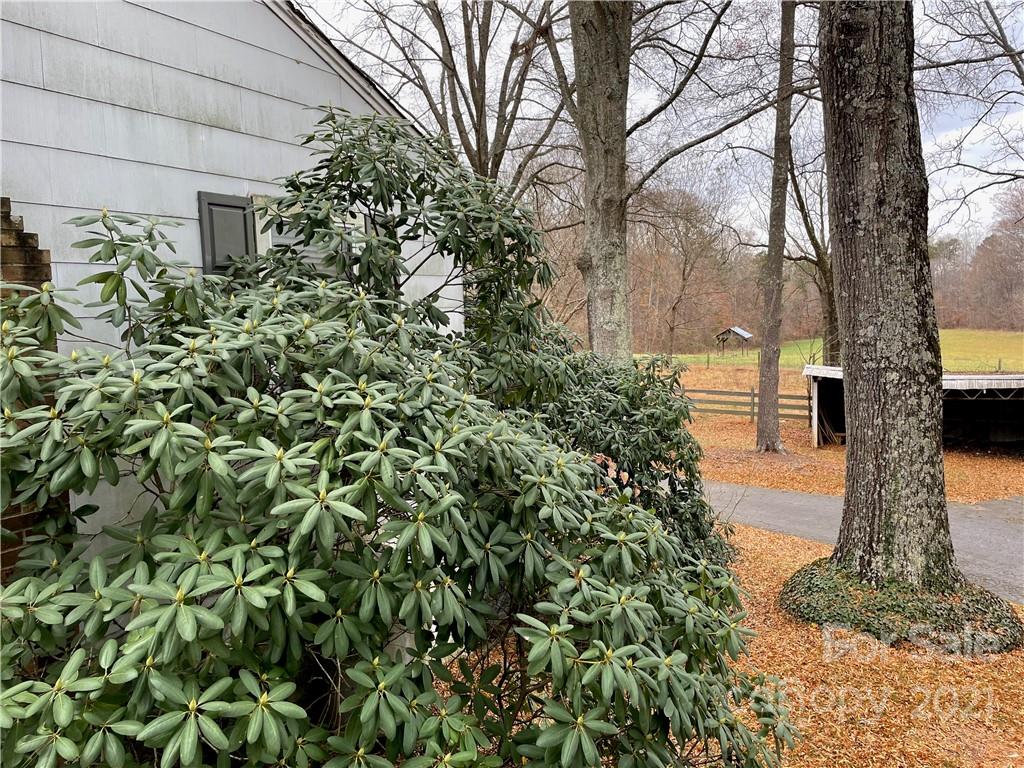 2563 Farmington Road Mocksville, NC 27028 - Photo 4 of 42 Gallery Image 4