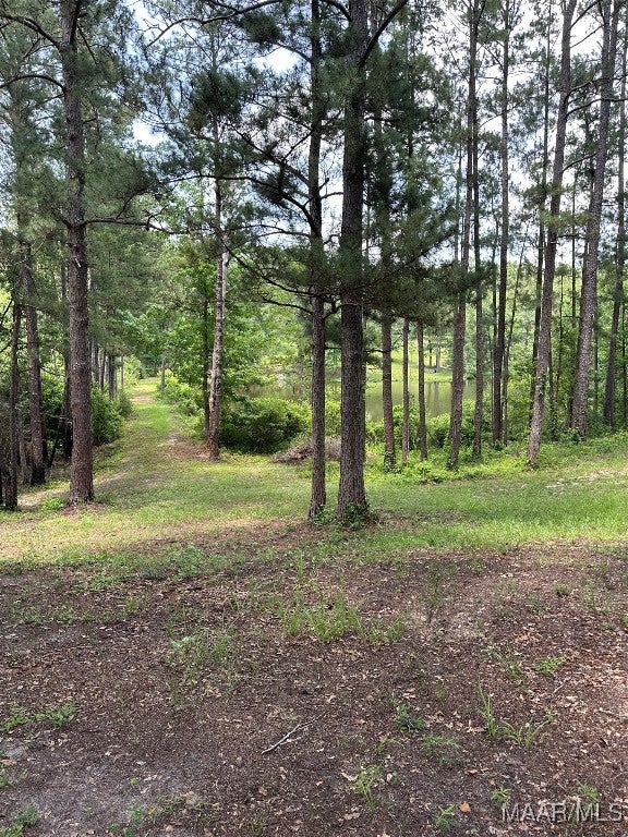 29600 Mitchell Road Opp, AL 36467 - Photo 18 of 24 Gallery Image 18