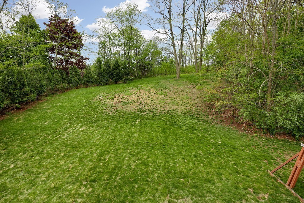 15 Barrett Road Lexington, MA 02421 - Photo 2 of 30 a view of a lush green space