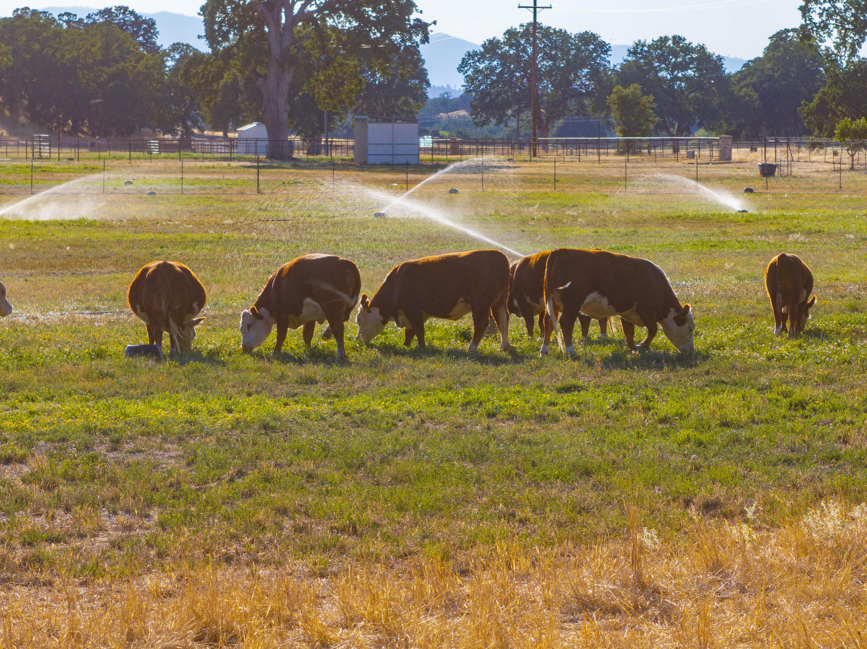 15775 Red Bank Road Red Bluff, CA 96080 - Photo 2 of 113 134-15775 Red Bank Rd - E-59