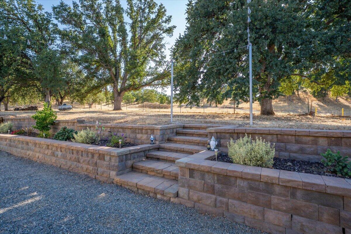 15775 Red Bank Road Red Bluff, CA 96080 - Photo 74 of 113 a view of a yard with large tree