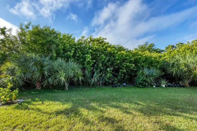 a view of a house with a yard patio and swimming pool