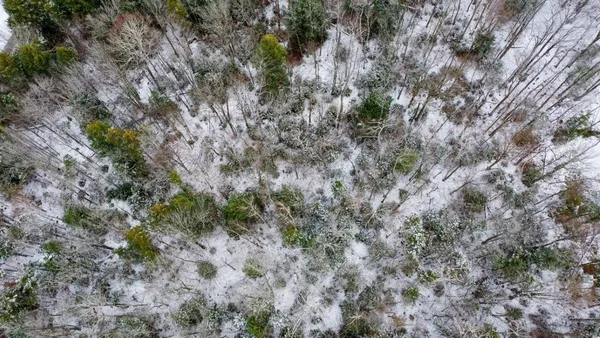 $125,000 | 311 Beechwood Lane, Unit 19, Peru, VT 05152