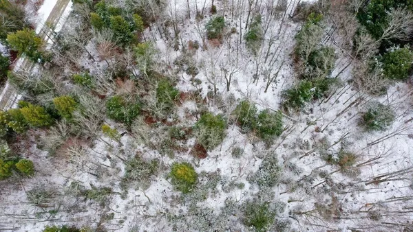 $125,000 | 311 Beechwood Lane, Unit 19, Peru, VT 05152