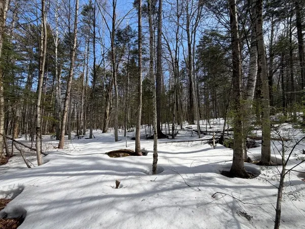 $125,000 | 311 Beechwood Lane, Unit 19, Peru, VT 05152