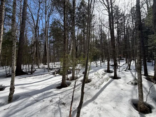 $125,000 | 311 Beechwood Lane, Unit 19, Peru, VT 05152