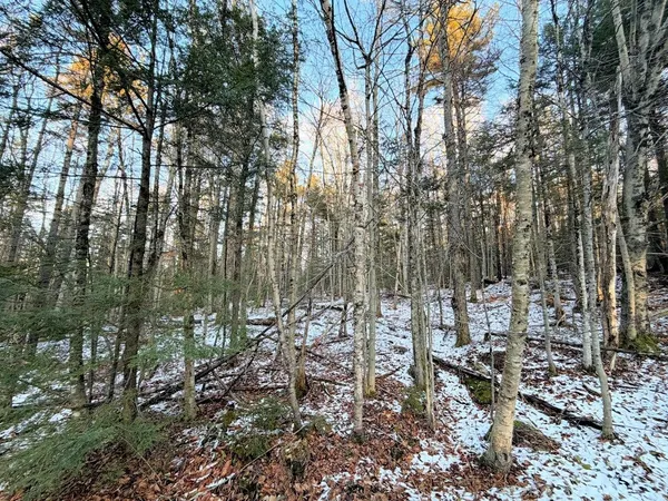 $125,000 | 311 Beechwood Lane, Unit 19, Peru, VT 05152