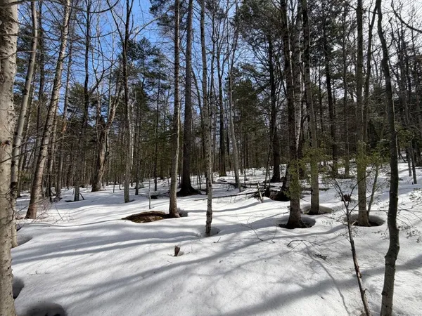 $125,000 | 311 Beechwood Lane, Unit 19, Peru, VT 05152