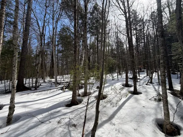 $125,000 | 311 Beechwood Lane, Unit 19, Peru, VT 05152