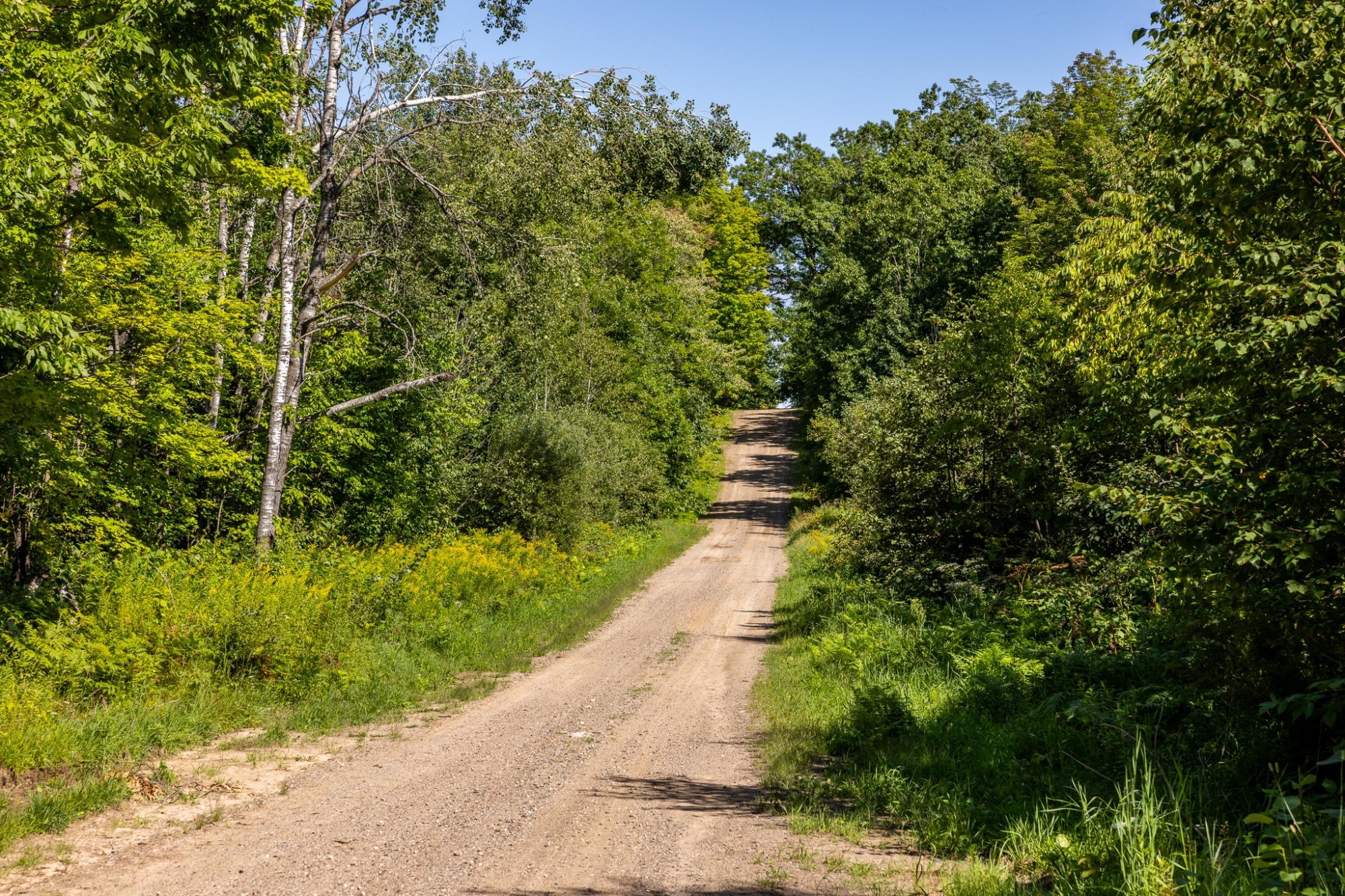 40-acres Ison Road Crandon, WI 54520 - Photo 22 of 31 Gallery Image 22