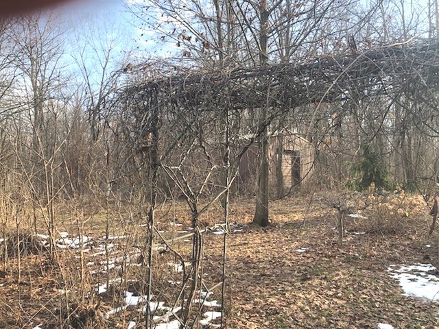 2786 Beemerville Road Compton, IL 61318 - Photo 6 of 16