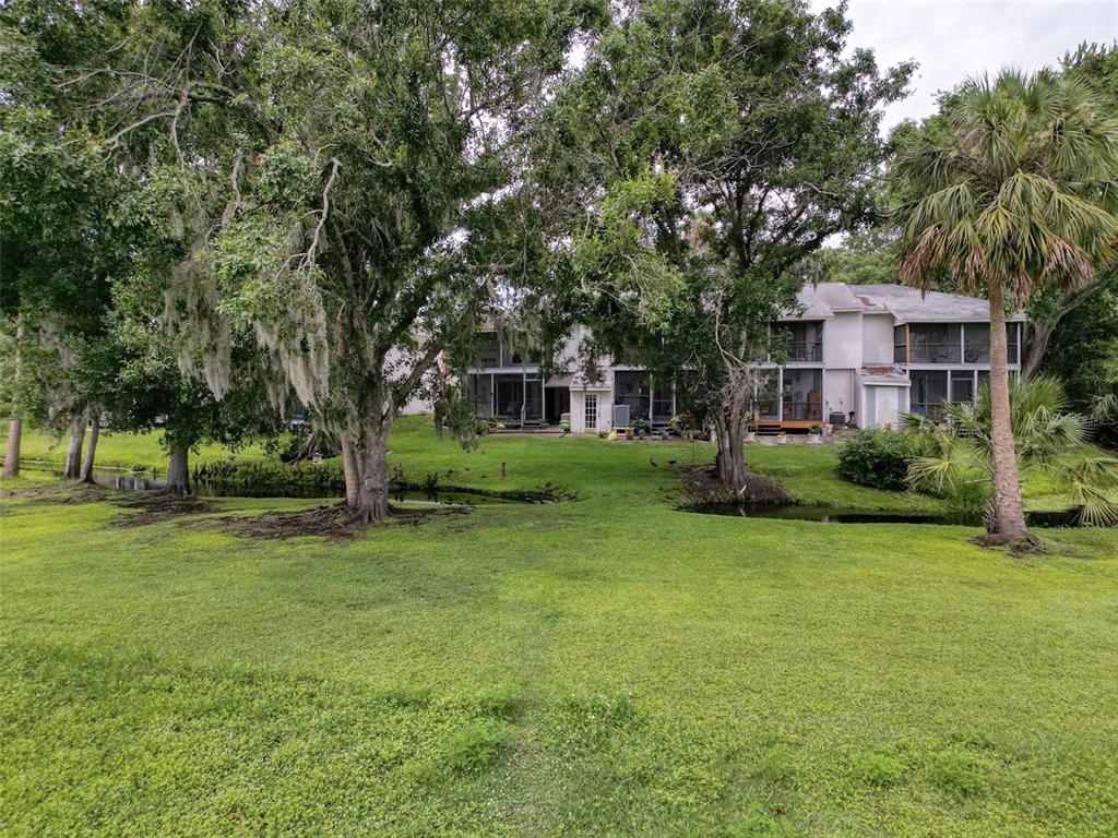 7135 Trenton Place New Port Richey, FL 34653 - Photo 40 of 50 a view of a house with a yard