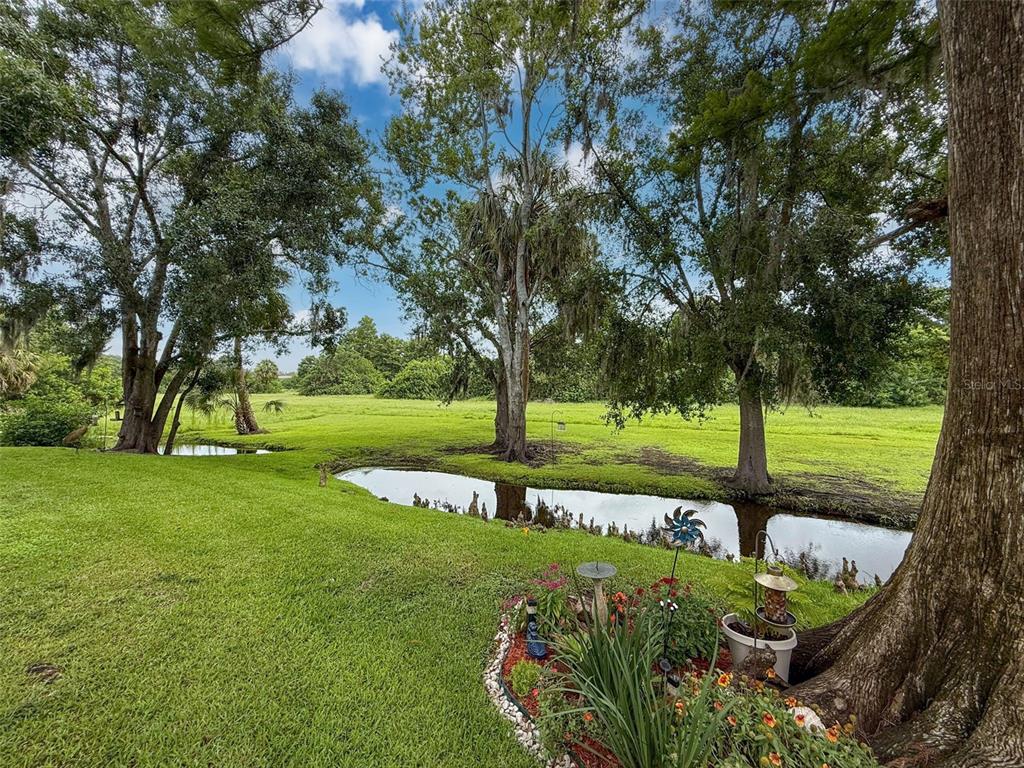 7135 Trenton Place New Port Richey, FL 34653 - Photo 41 of 50 a view of a park with large trees