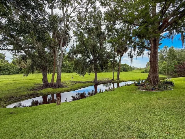 a view of a park with large trees