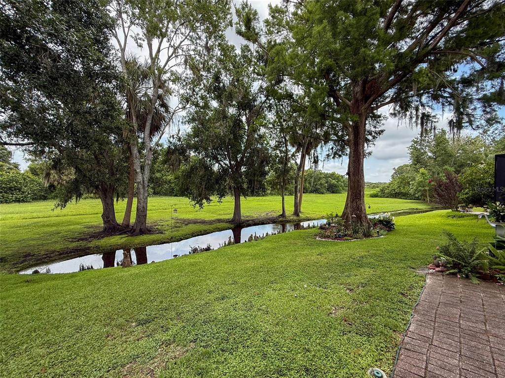 7135 Trenton Place New Port Richey, FL 34653 - Photo 44 of 50 a view of a park with large trees