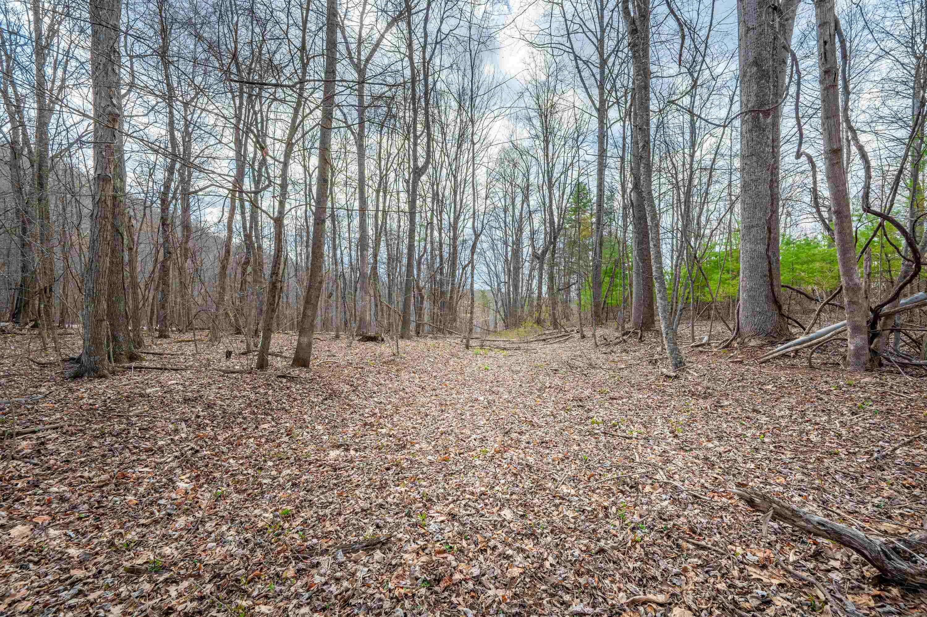 2301 Buffalo Mountain Road Southwest Willis, VA 24380 - Photo 19 of 37 Gallery Image 19