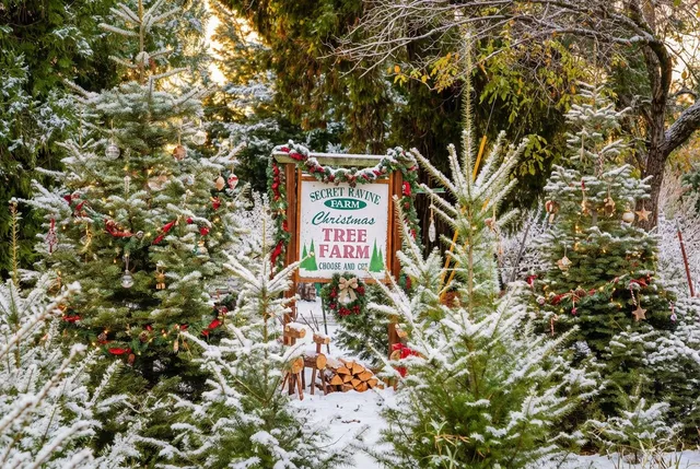 $975,000 | 2740 Mace Road, Camino, CA 95709