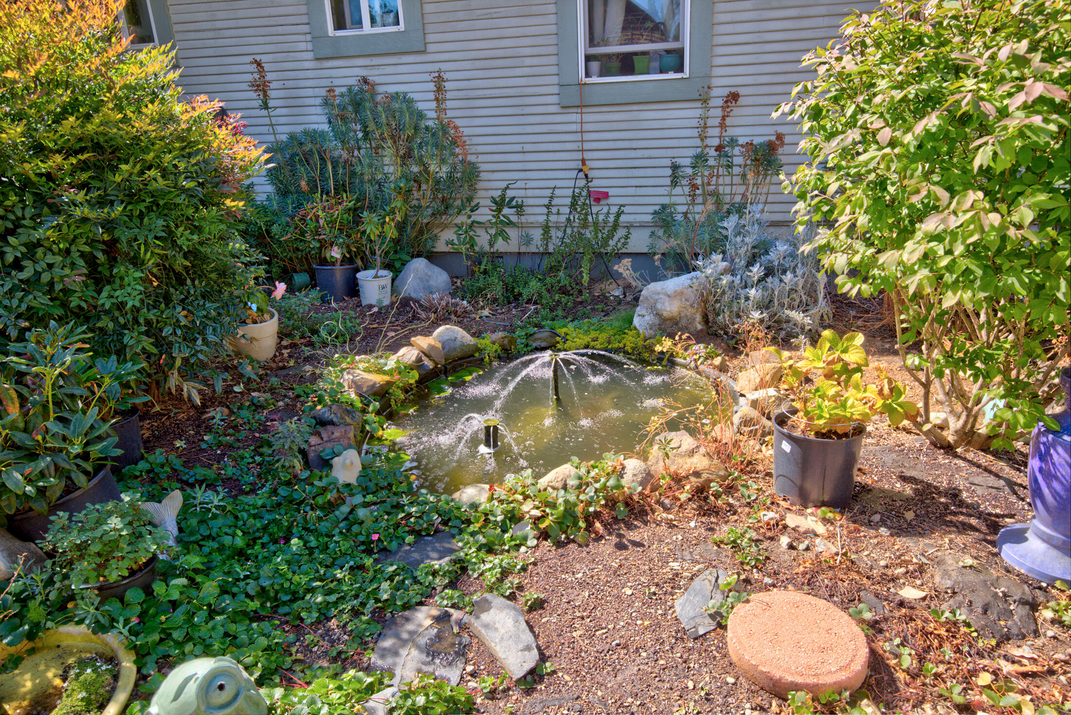 800 Deer Creek Road Selma, OR 97538 - Photo 6 of 42 Pond