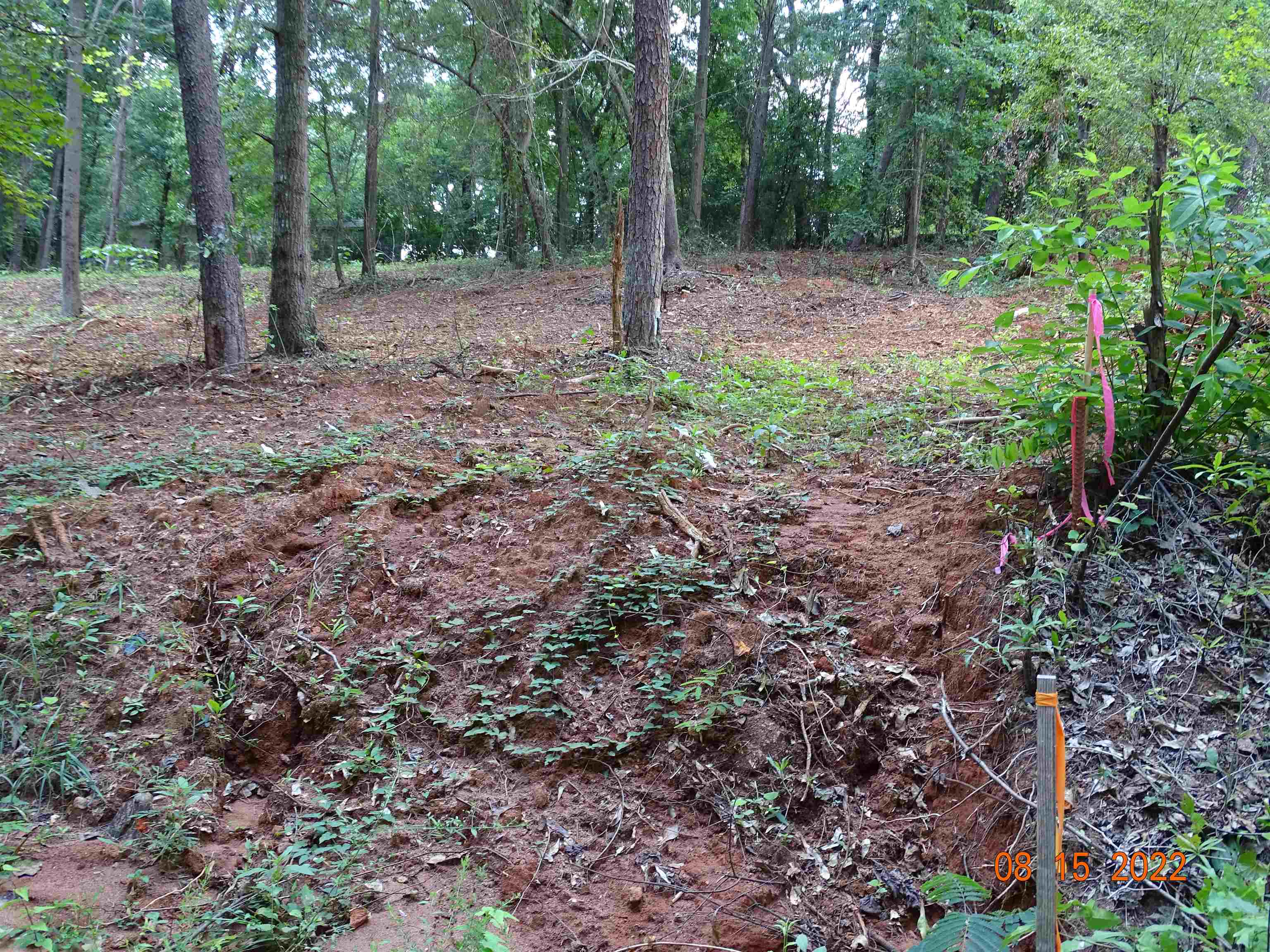 140 Blue Spring Circle Wellford, SC 29385 - Photo 3 of 11