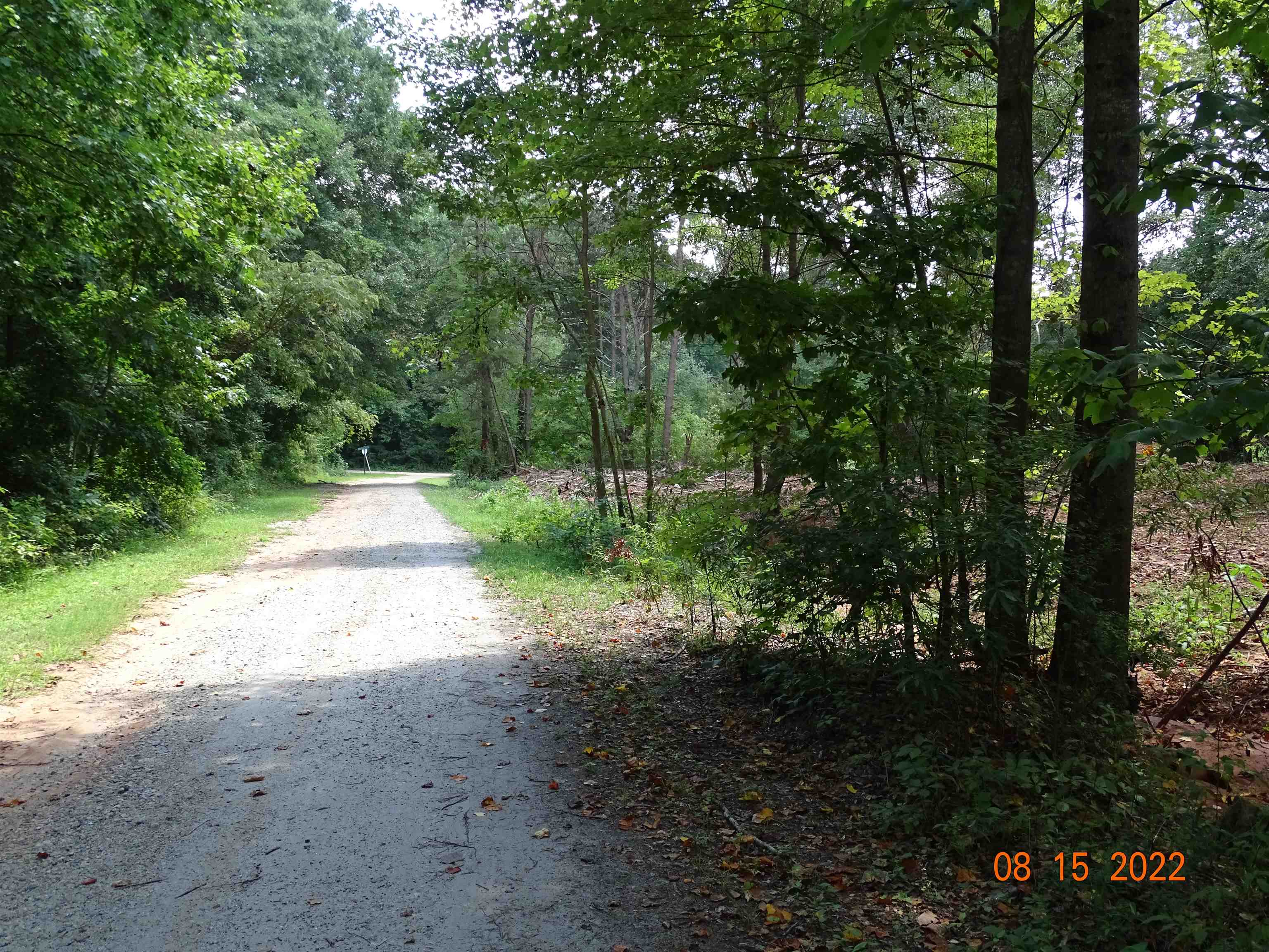 140 Blue Spring Circle Wellford, SC 29385 - Photo 5 of 11