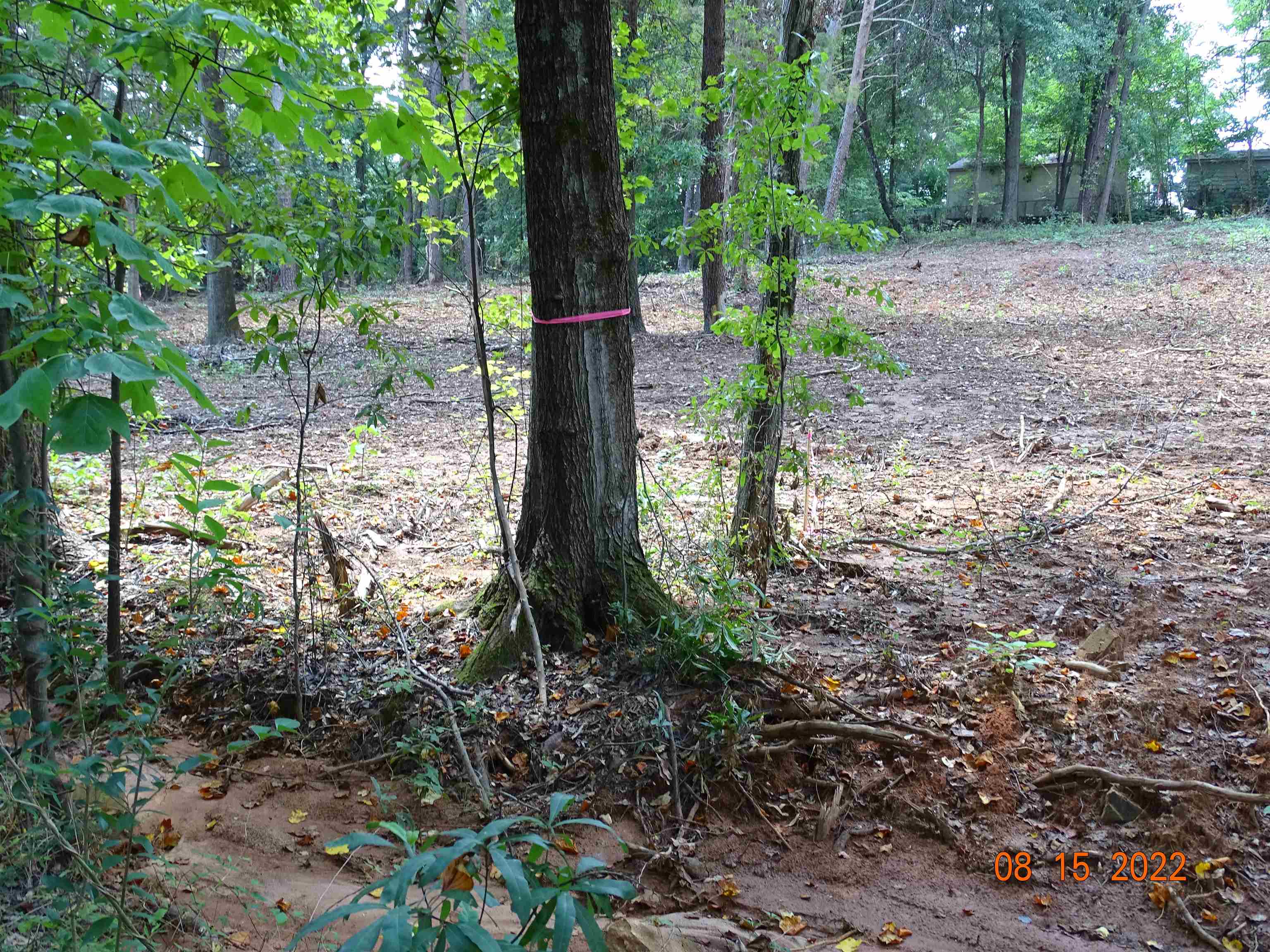 140 Blue Spring Circle Wellford, SC 29385 - Photo 6 of 11