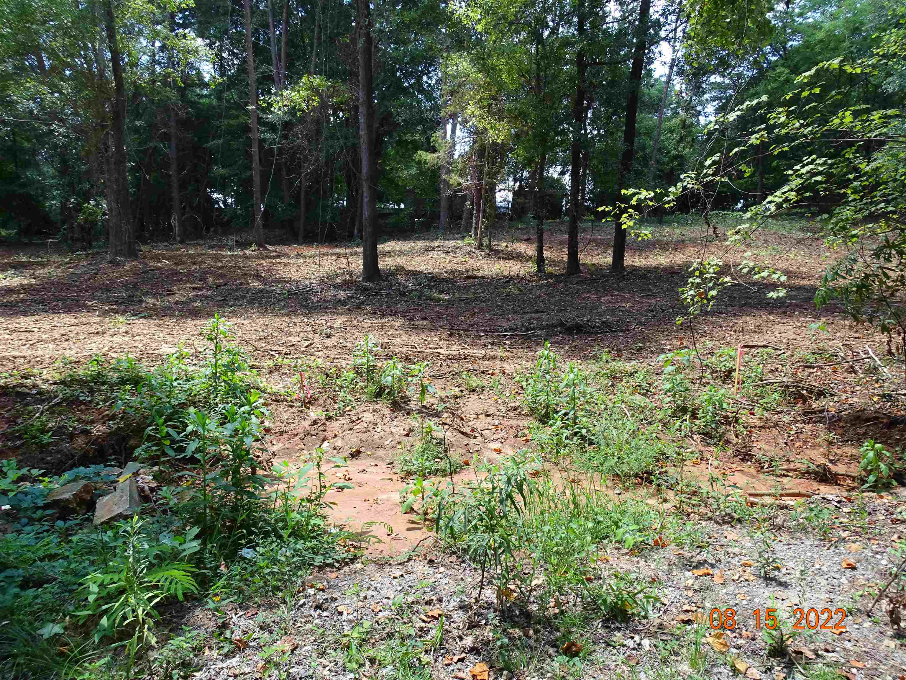 140 Blue Spring Circle Wellford, SC 29385 - Photo 7 of 11