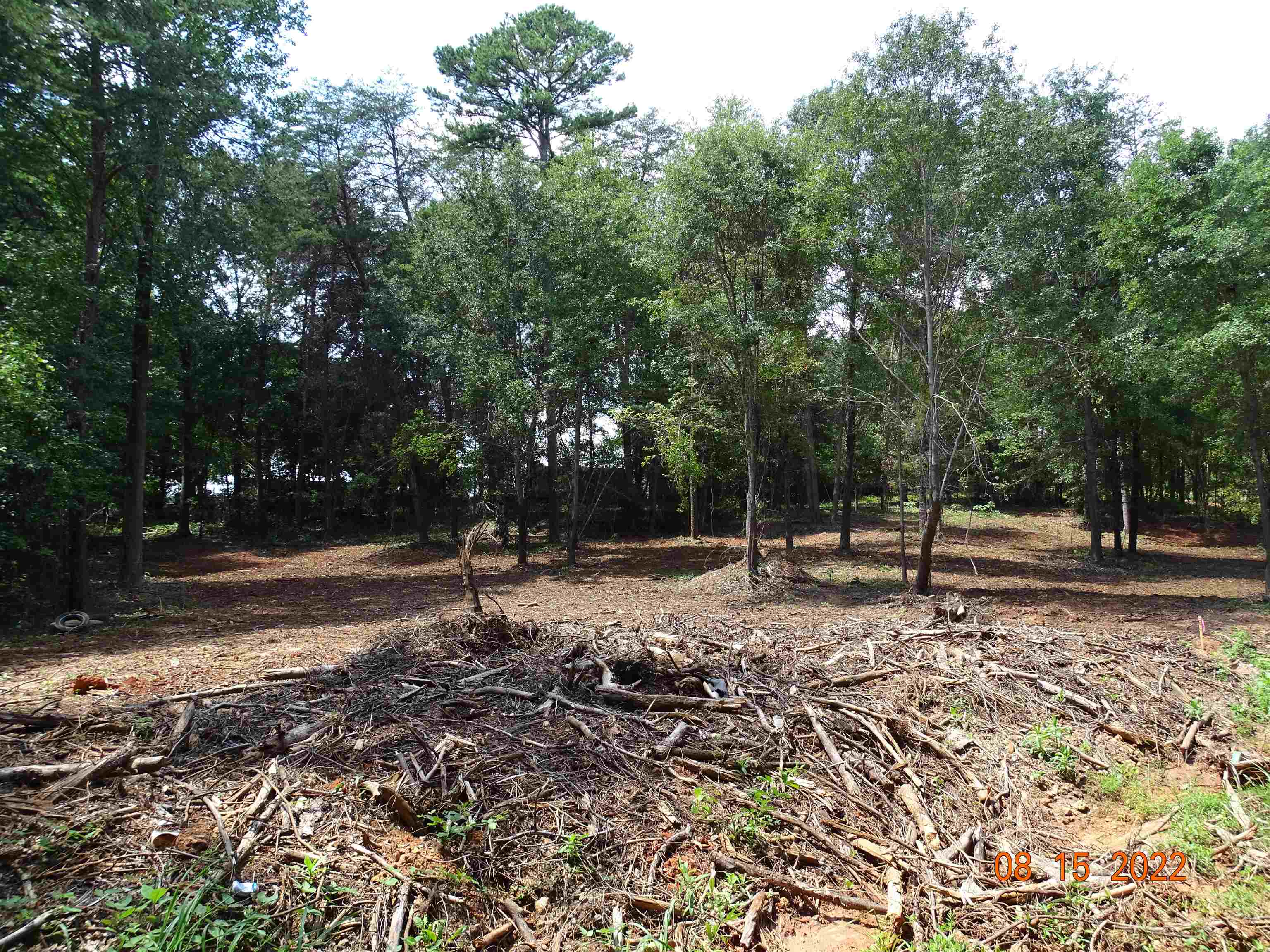 140 Blue Spring Circle Wellford, SC 29385 - Photo 9 of 11