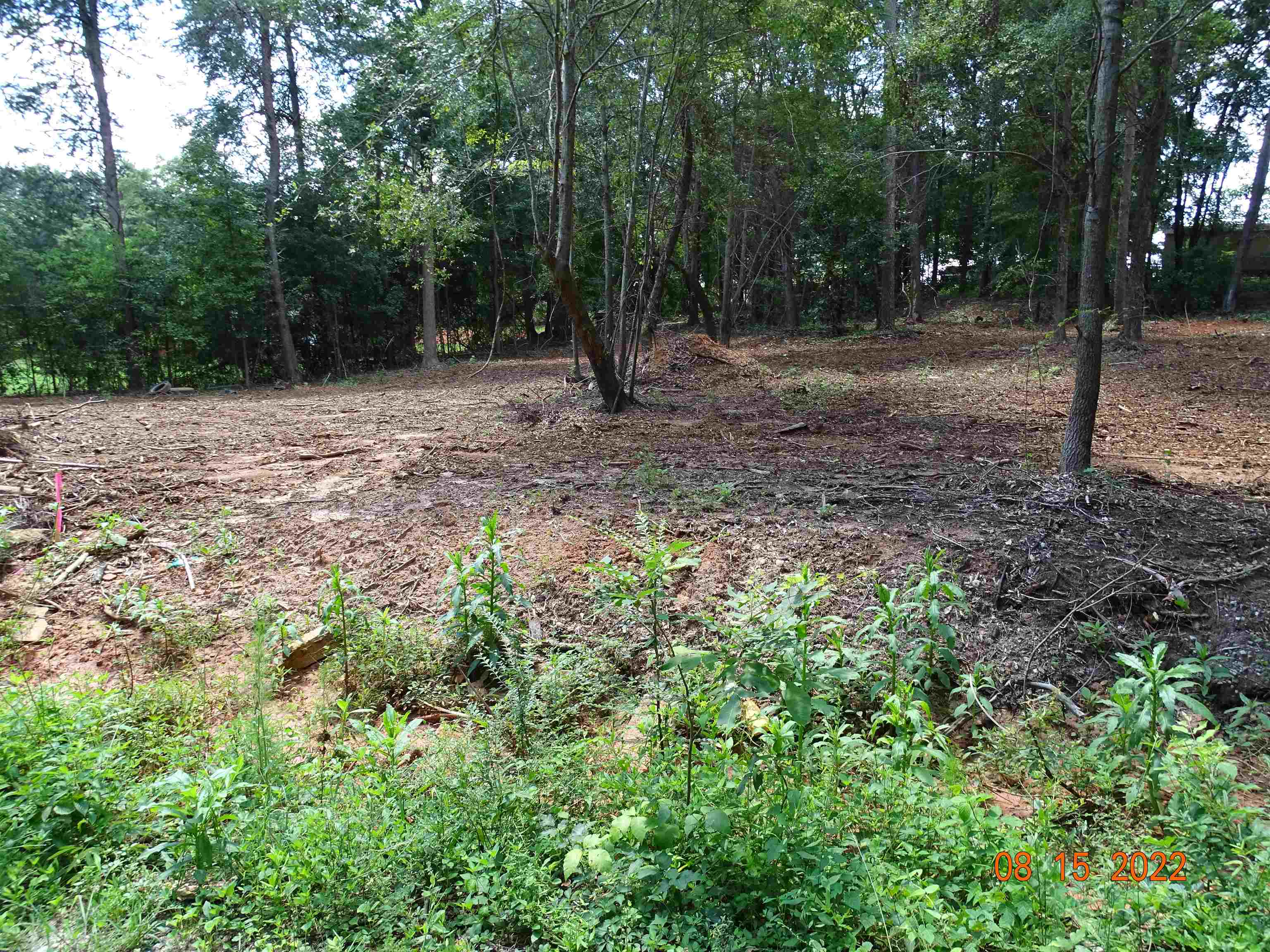 140 Blue Spring Circle Wellford, SC 29385 - Photo 10 of 11