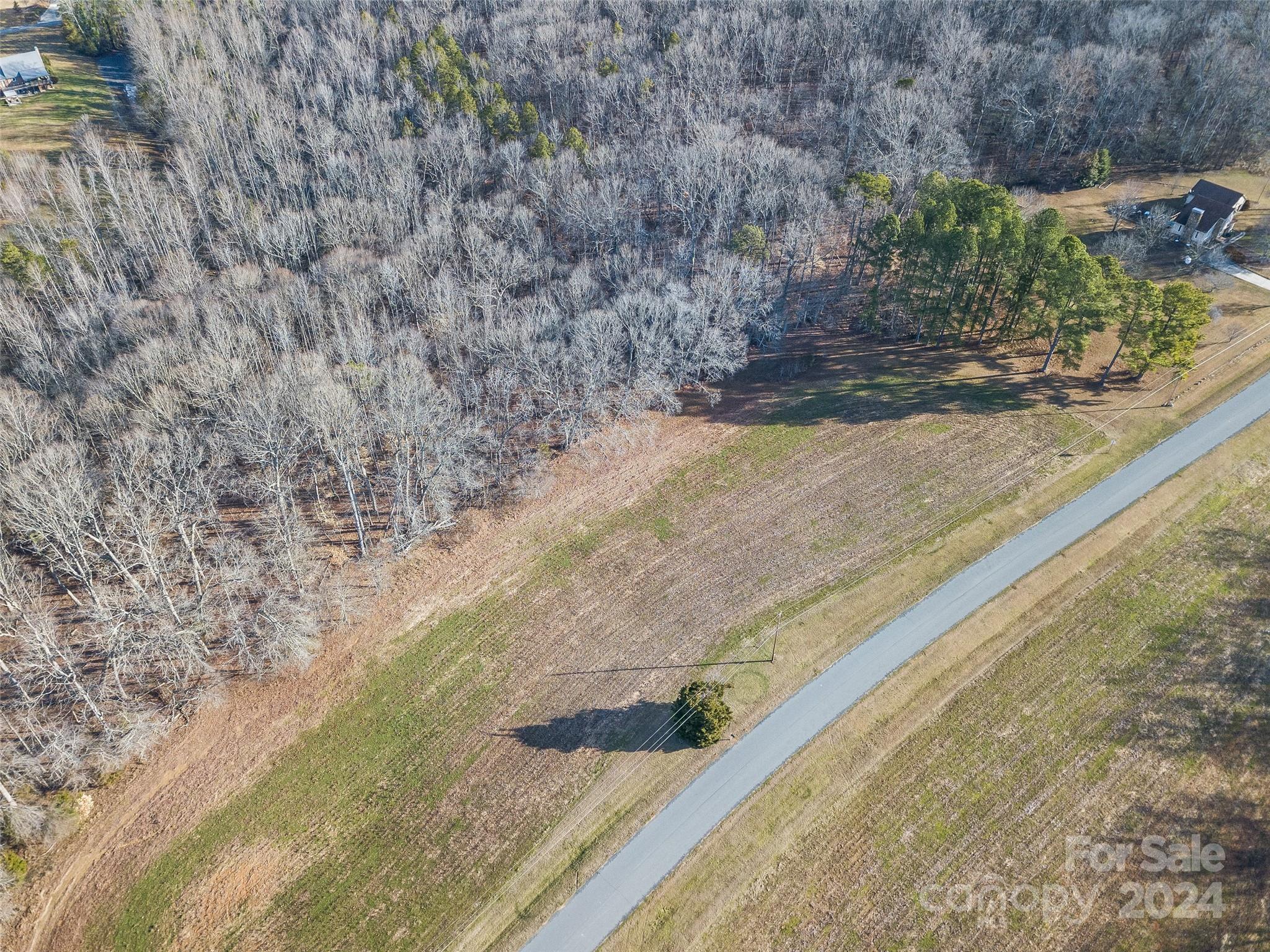 2.5-acres Mann Road Albemarle, NC 28001 - Photo 13 of 15 a view of a yard with large trees