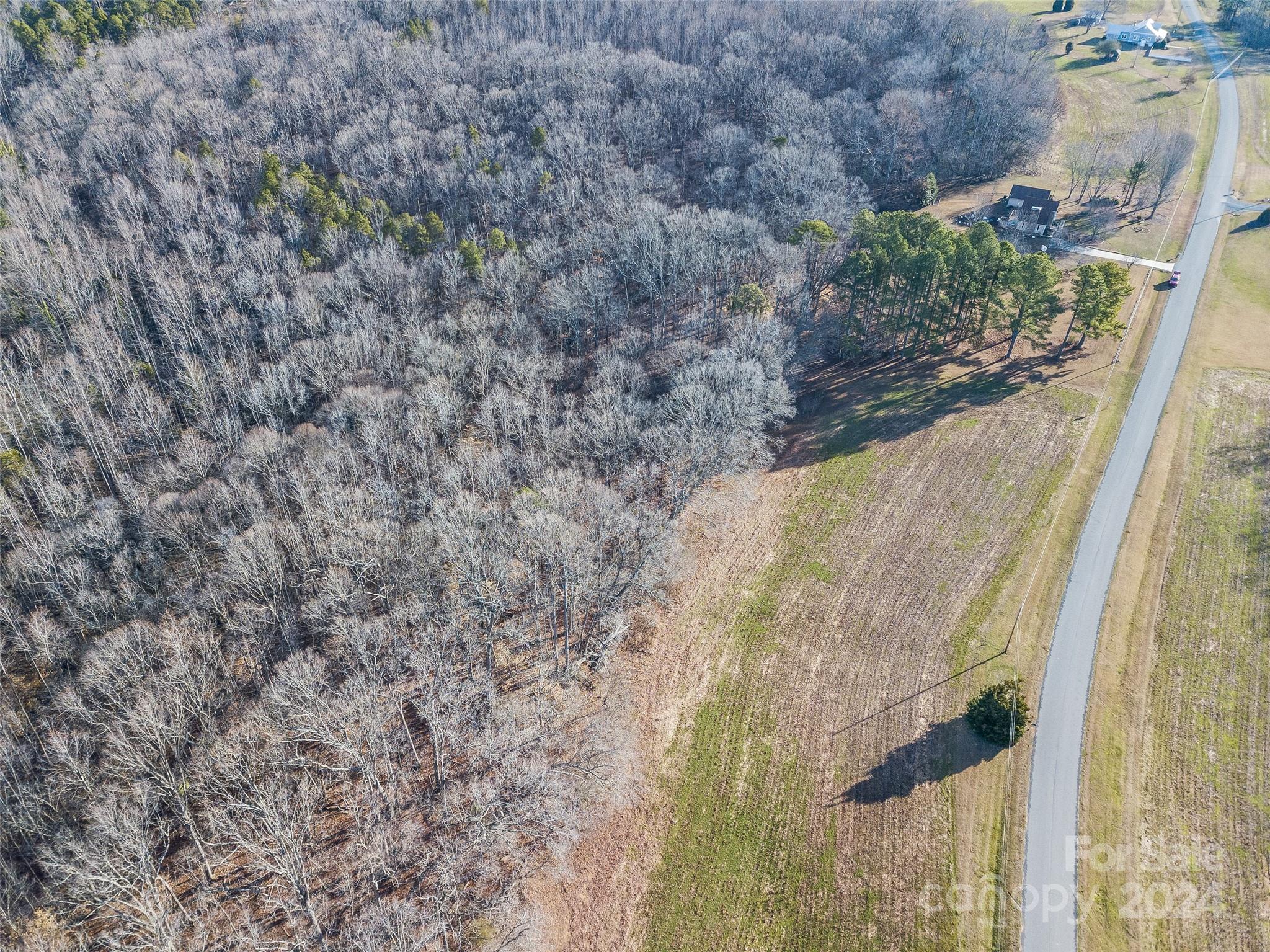 2.5-acres Mann Road Albemarle, NC 28001 - Photo 6 of 15 a view of a dry yard