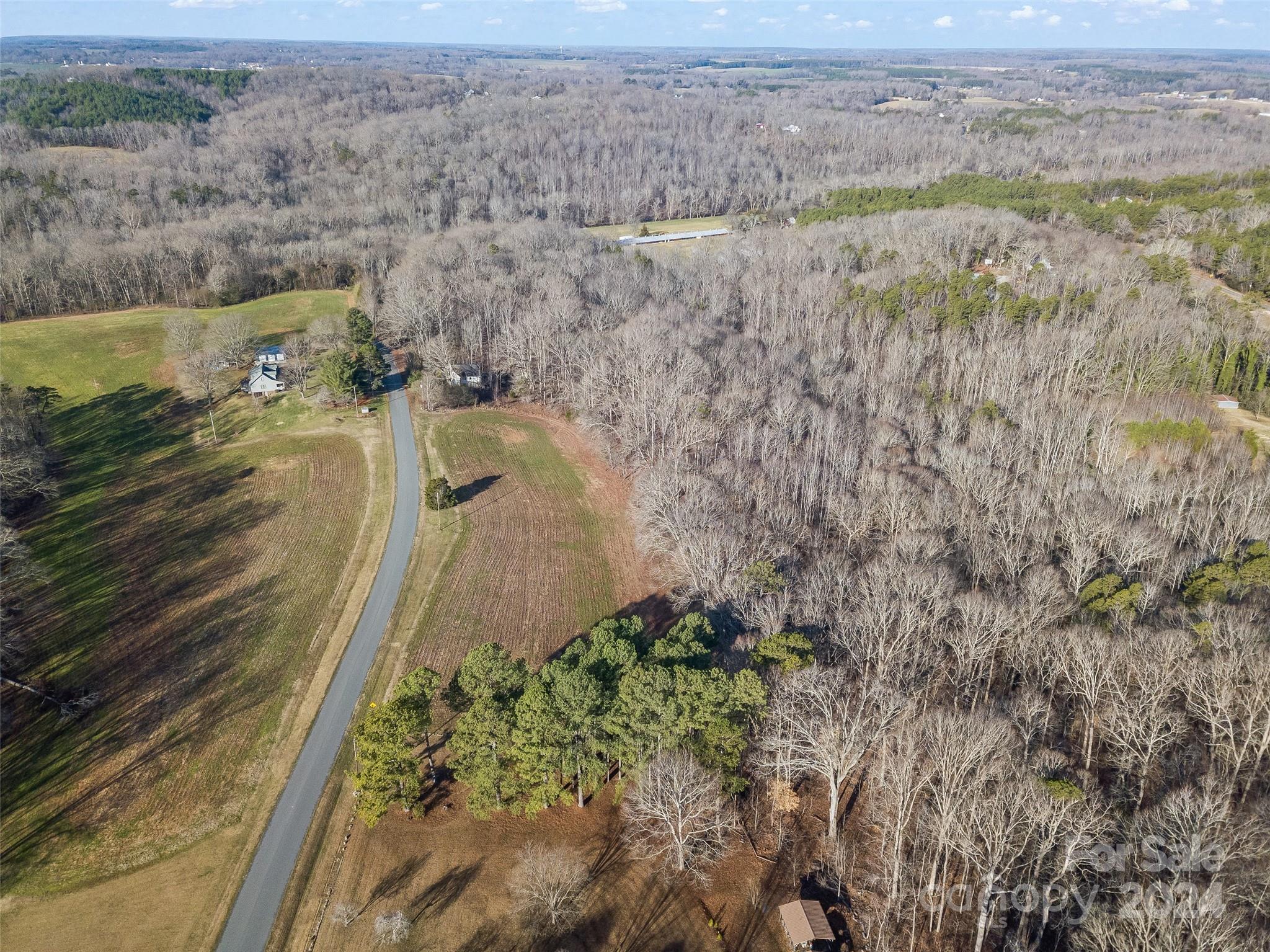 2.5-acres Mann Road Albemarle, NC 28001 - Photo 9 of 15 a view of a yard