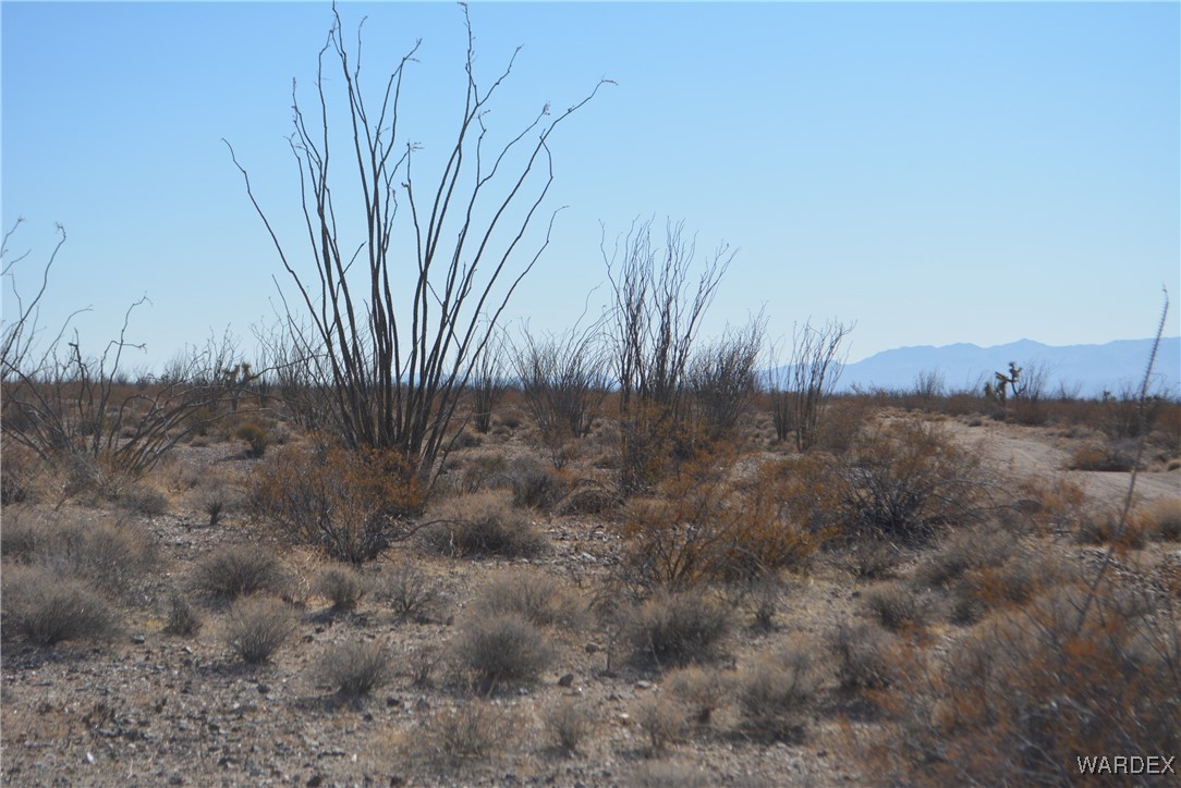 245-24-107 South Rainbow Road Yucca, AZ 86438 - Photo 20 of 91