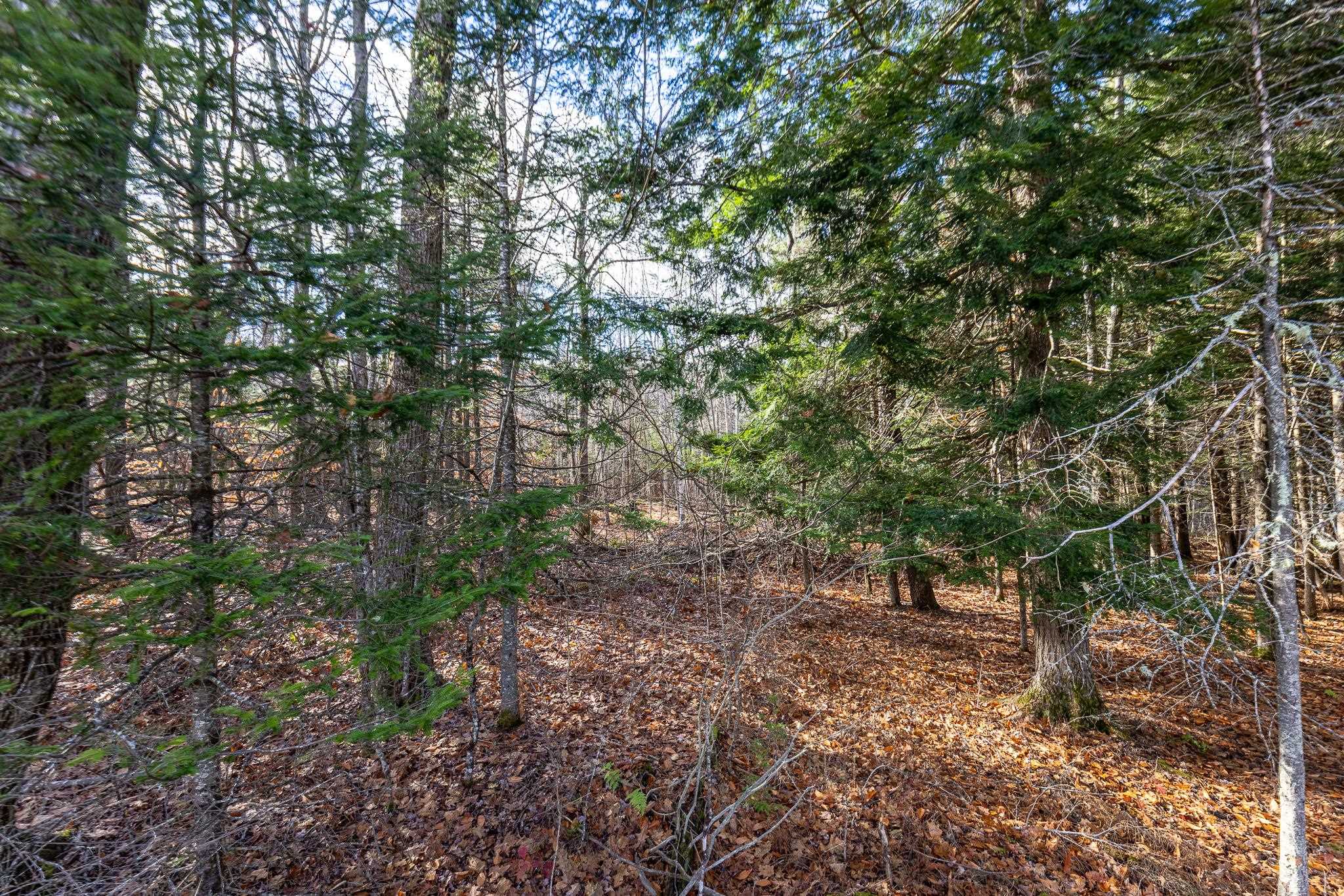 0 Oak Hill Road, Unit 21 Enfield, NH 03748 - Photo 11 of 13