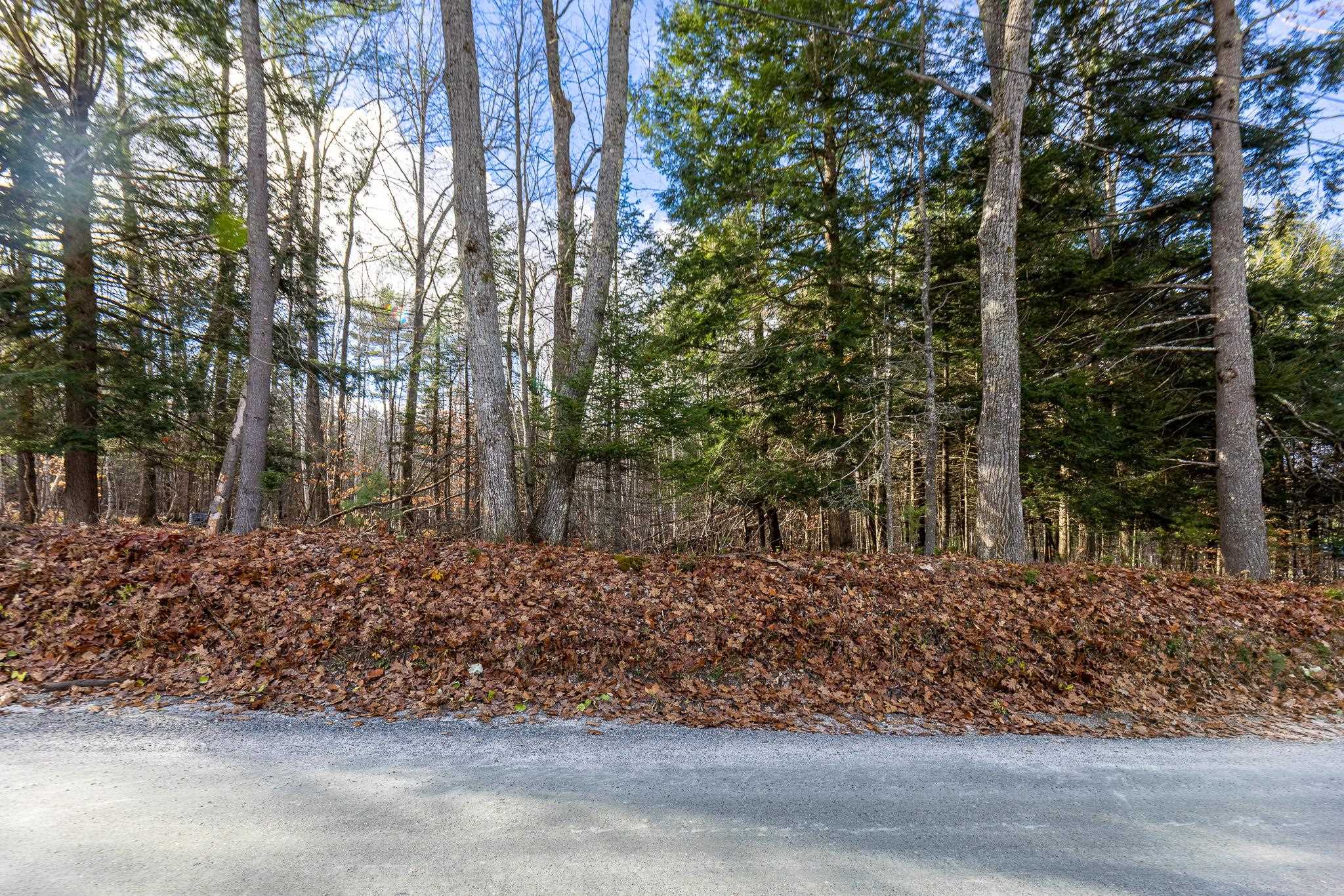 0 Oak Hill Road, Unit 21 Enfield, NH 03748 - Photo 10 of 13