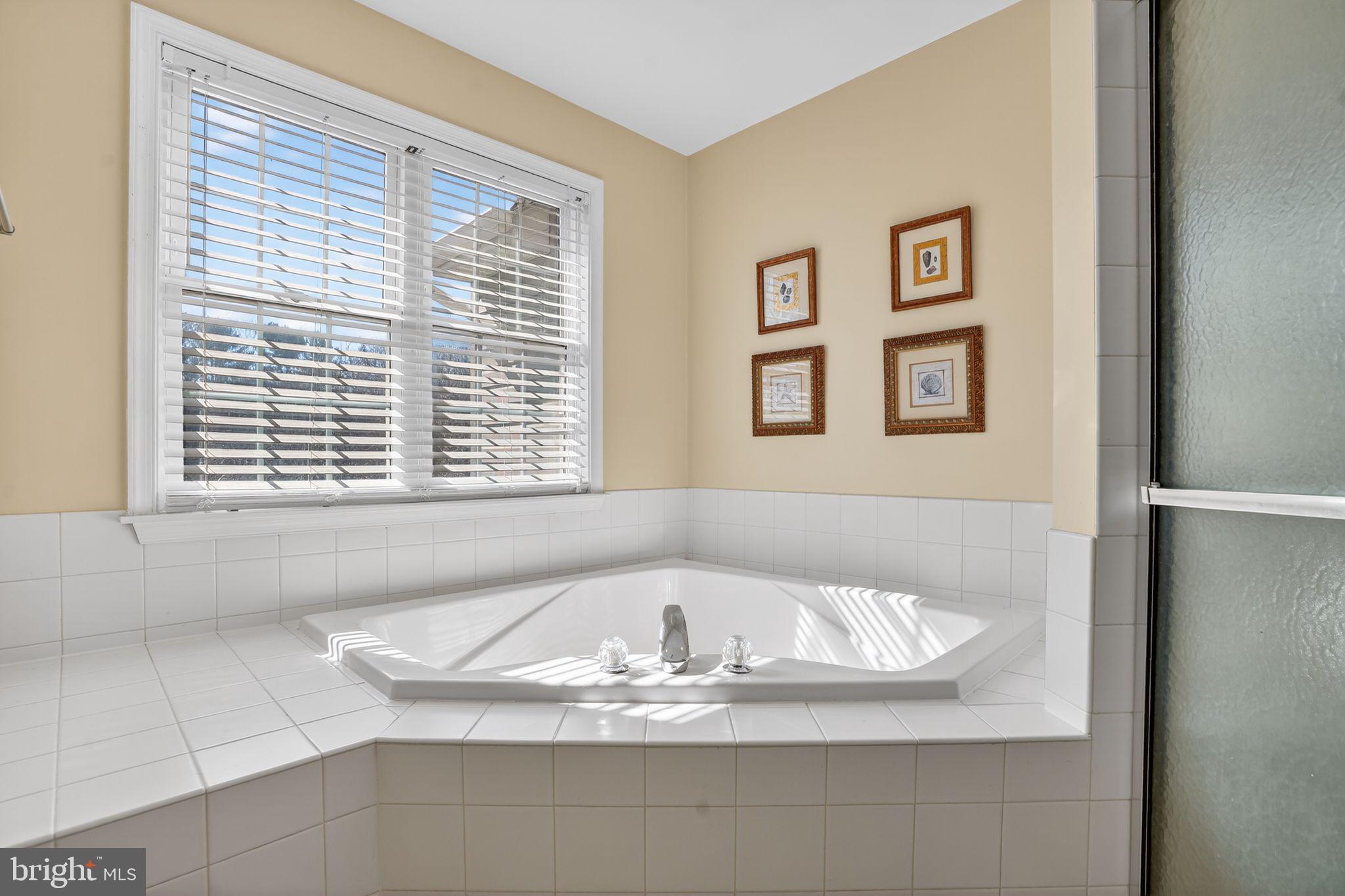 5044 Jericho Road Columbia, MD 21044 - Photo 50 of 67 Sunken tub in Master suite