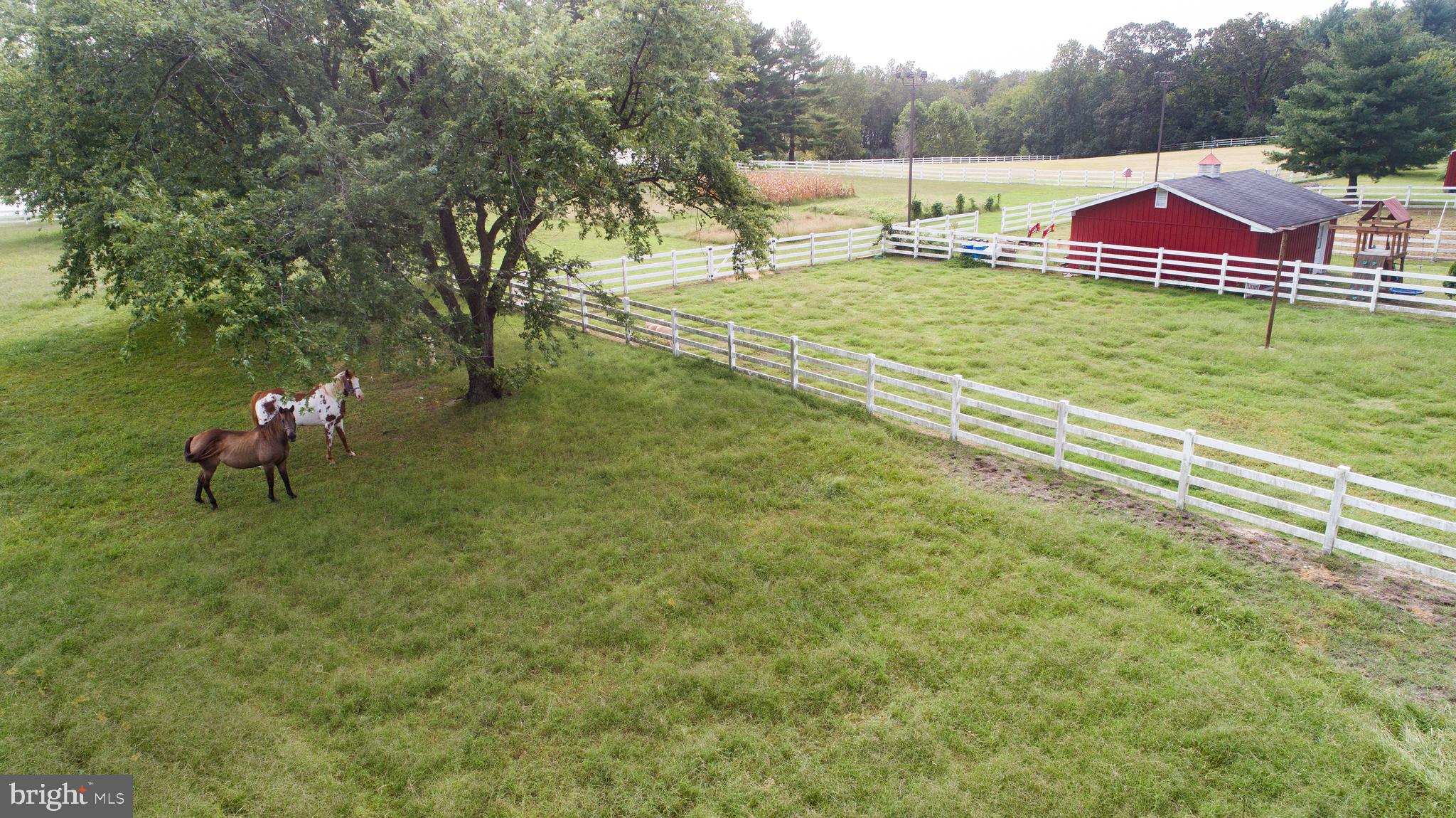 6365 Palmer Mill Road Hurlock, MD 21643 - Photo 49 of 56 Gallery Image 49