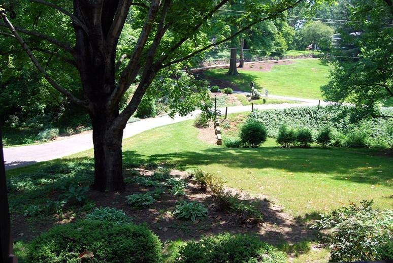 View of Front Yard