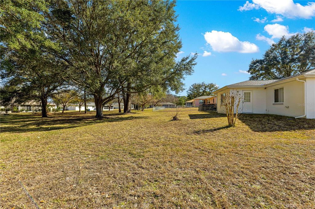 6115 Southwest 104th Street Ocala, FL 34476 - Photo 30 of 39 a view of yard with swimming pool and trees