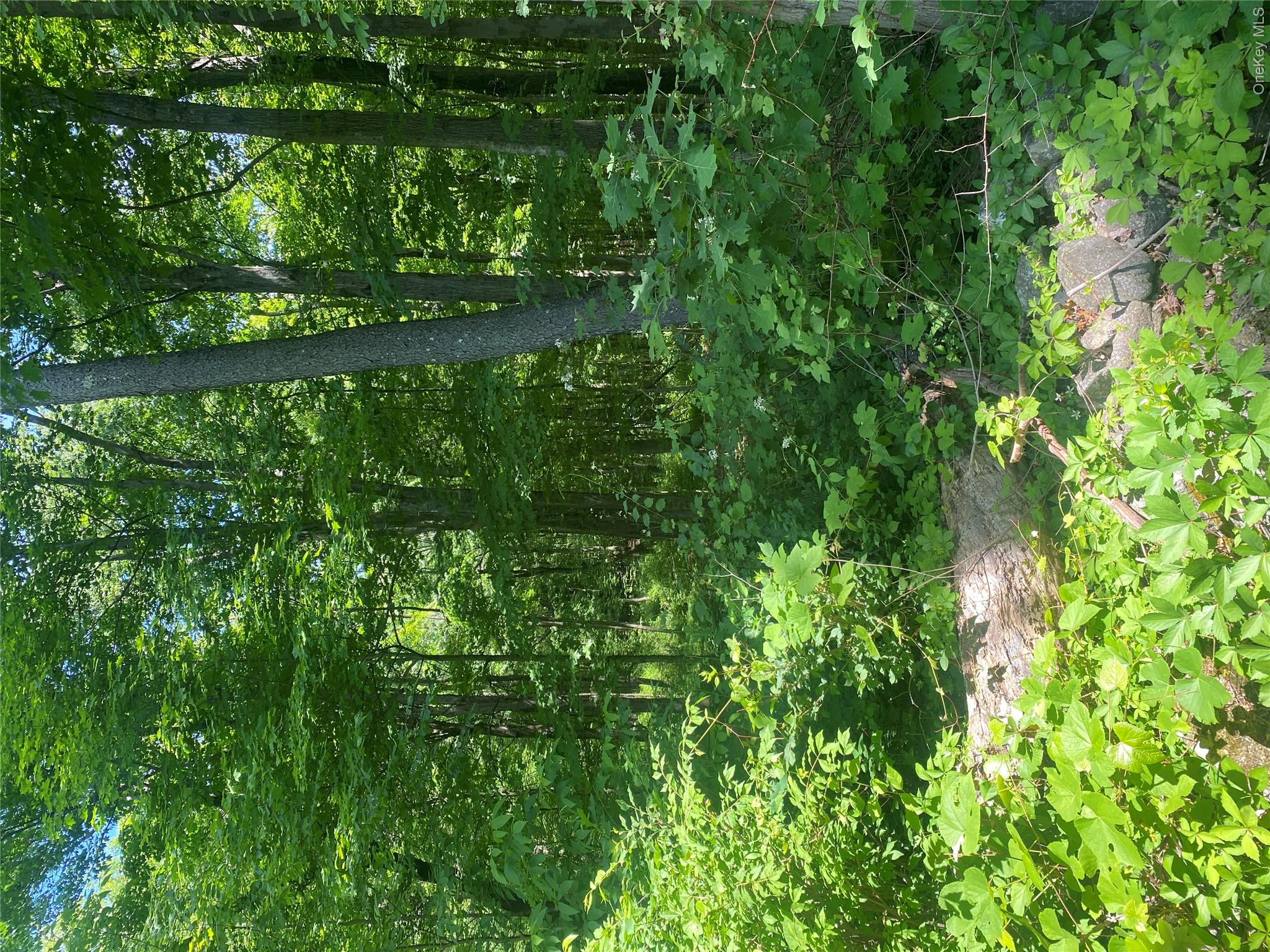 123 Meads Farm Road Stormville, NY 12582 - Photo 2 of 3 Clear and build your dream home