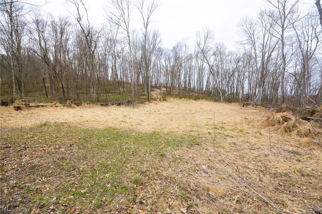 71 Township Road Killbuck, OH 44637 - Photo 13 of 39