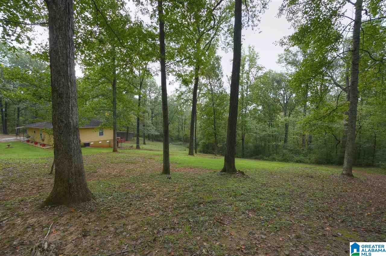 6125 Mountain Ridge Road Trussville, AL 35173 - Photo 9 of 28