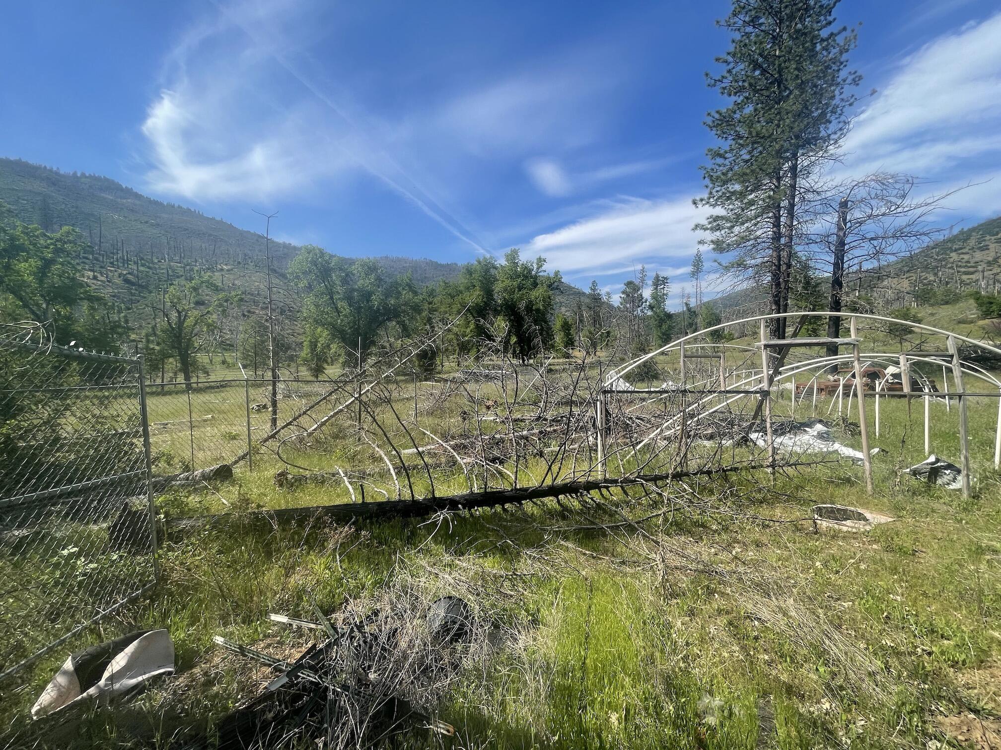 15917 Log Cabin Road French Gulch, CA 96033 - Photo 12 of 24 a view of swimming pool with a yard