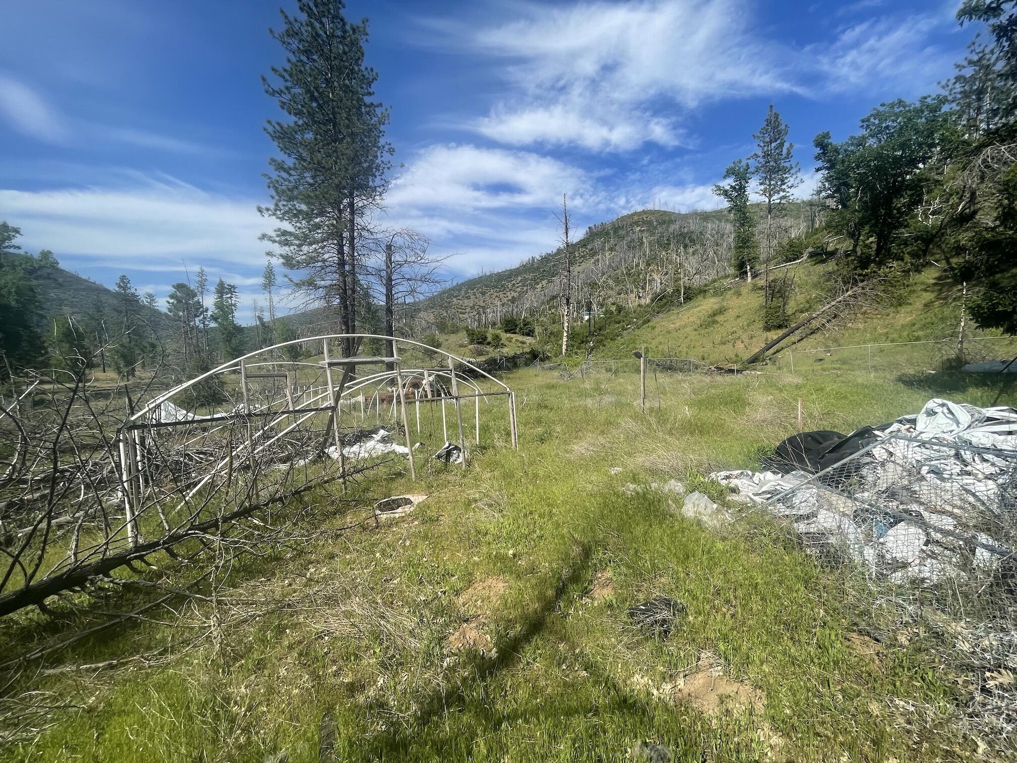 15917 Log Cabin Road French Gulch, CA 96033 - Photo 13 of 24 a view of a lake with a mountain in the background