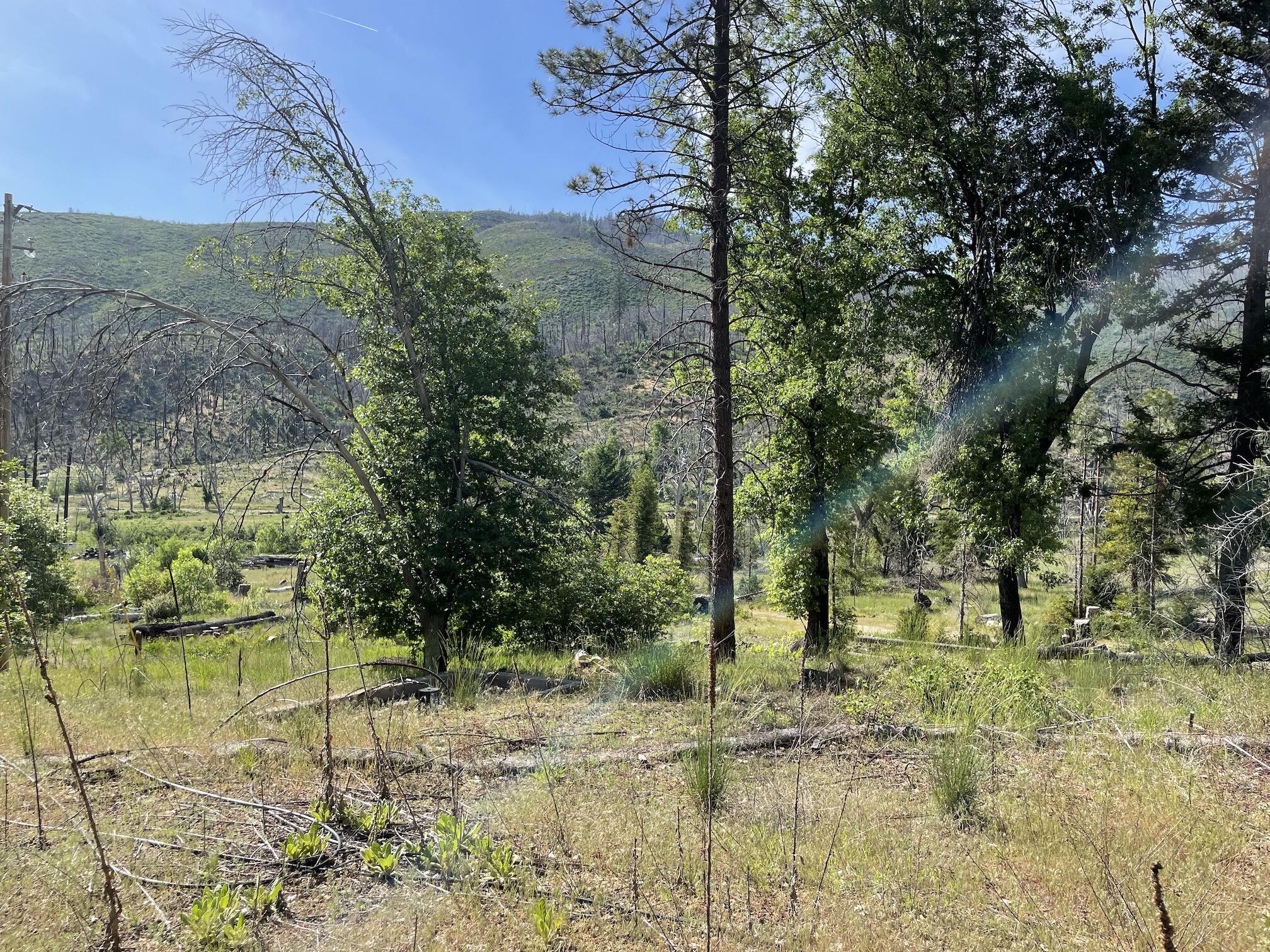 15917 Log Cabin Road French Gulch, CA 96033 - Photo 17 of 24 a view of a lake view